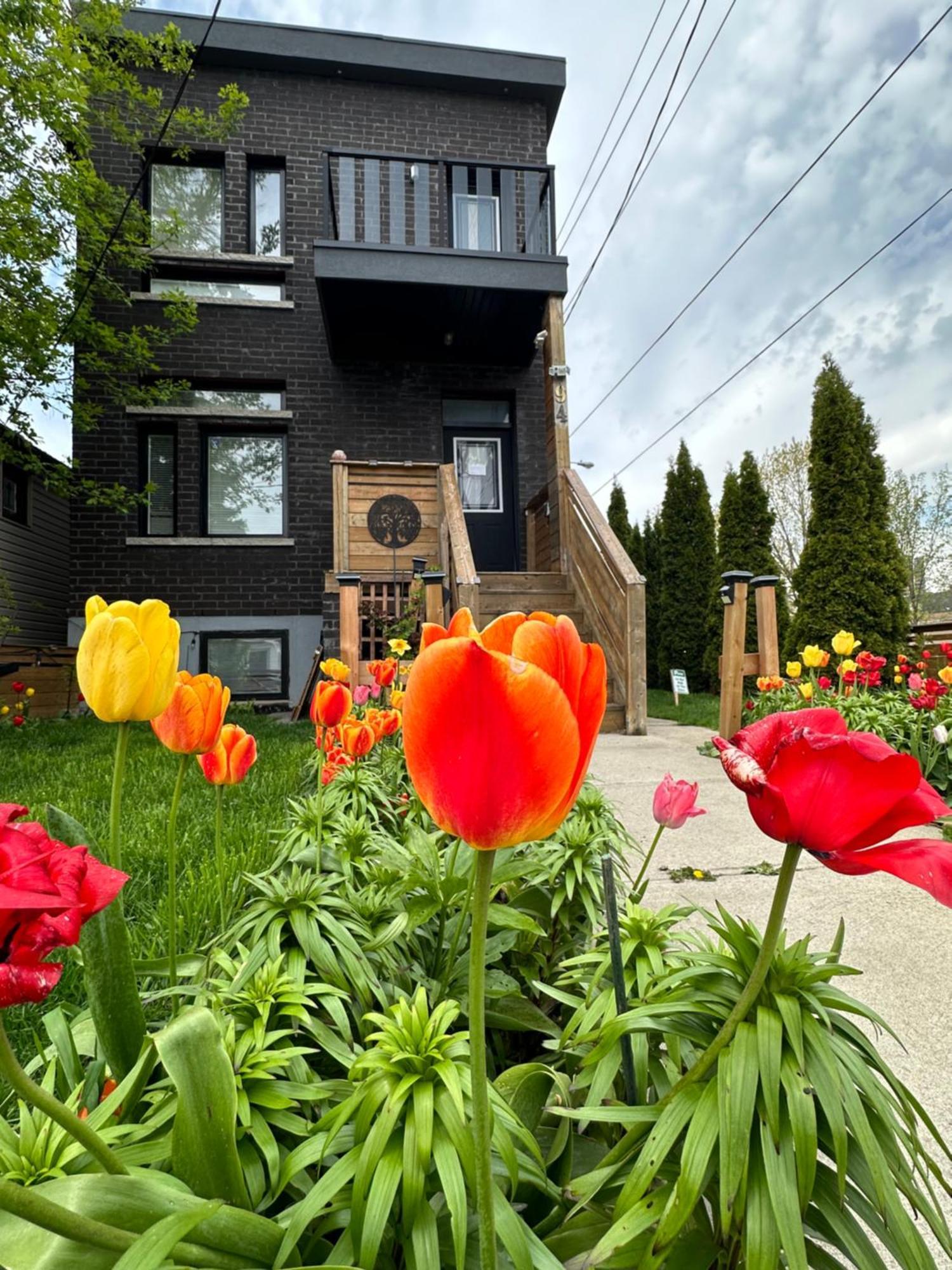 Lower Loft Suite -Space Share Toronto Luaran gambar